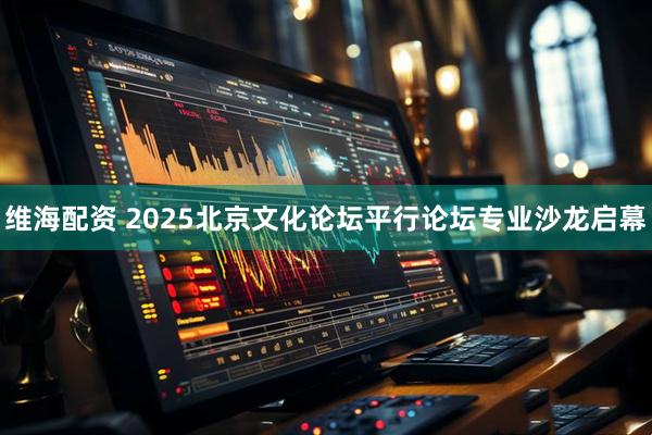 维海配资 2025北京文化论坛平行论坛专业沙龙启幕