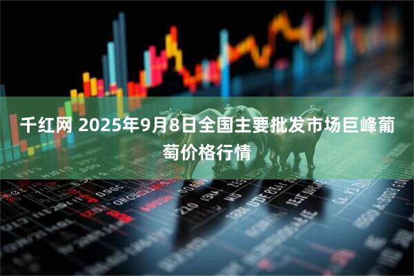 千红网 2025年9月8日全国主要批发市场巨峰葡萄价格行情