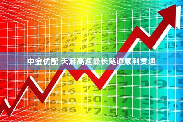 中金优配 天麻高速最长隧道顺利贯通