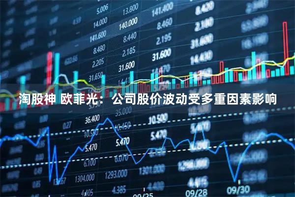 淘股神 欧菲光：公司股价波动受多重因素影响