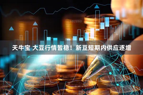 天牛宝 大豆行情暂稳！新豆短期内供应逐增